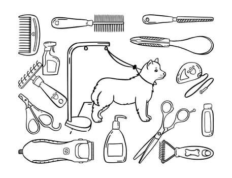 Pet grooming set. Salon for animals. Doodle style animal and character hand drawn. Vector illustration.