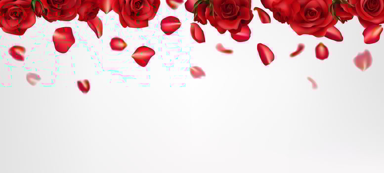 A romantic red rose realistic illustration, with falling petals. Perfect for Valentine's Day, weddings, and celebrations. Realistic details create a beautiful, natural design. Not AI. vector
