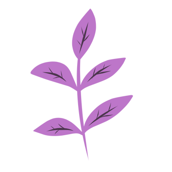 Botanical plant leaves png
