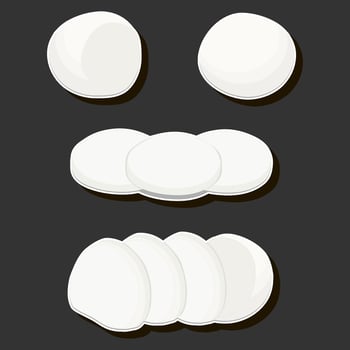 beautiful tasty edible homemade cheese dairy product consisting of various ingredients vector