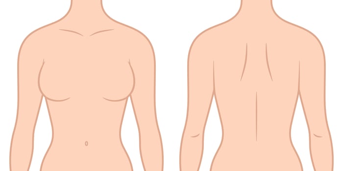 Female Upper Body Vector Illustration