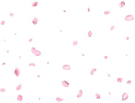 Pink Spring realistic sakura petals. png