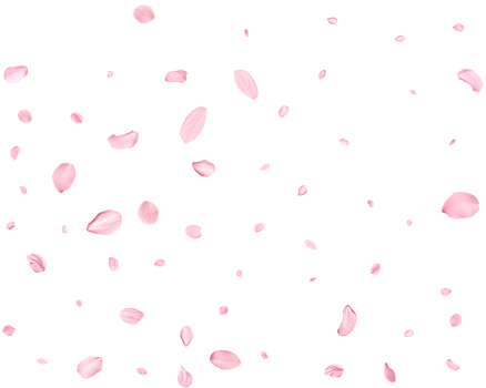 Pink Spring realistic cherry petals. png