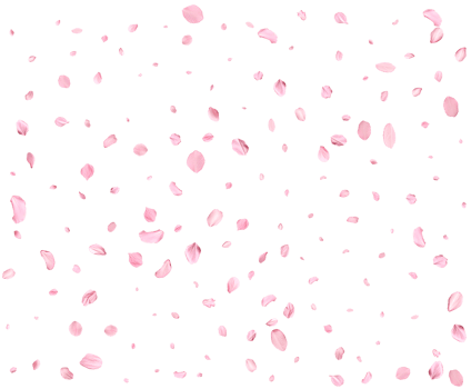 Japanese Spring petals cherry. png