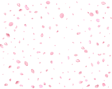 Pink Spring Japanese sakura petals. png