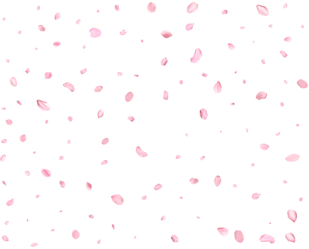 Pink Spring Japanese Cherry petals. png