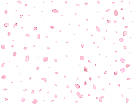 Pink Spring Japanese Cherry petals. png