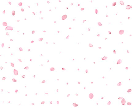 Pink Spring Japanese Cherry petals. png