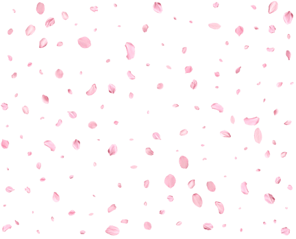 Pink Spring Japanese Cherry petals. png