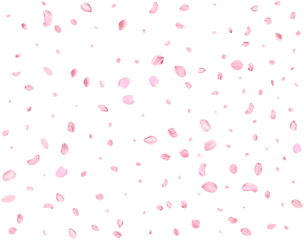 Pink Spring Japanese Cherry petals. png