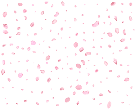 Pink Spring Japanese sakura petals. png