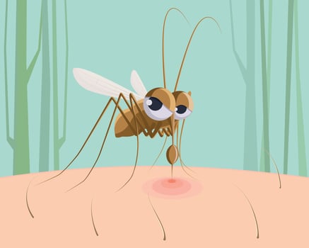 Mosquito sucking blood. Funny pest insect, mosquito bite red mark on skin cartoon vector illustration