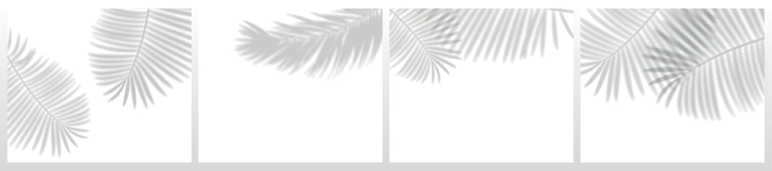Tropical leaves shadows. Blurry palm plant leaf shadow, realistic nature light decoration overlay effect vector set