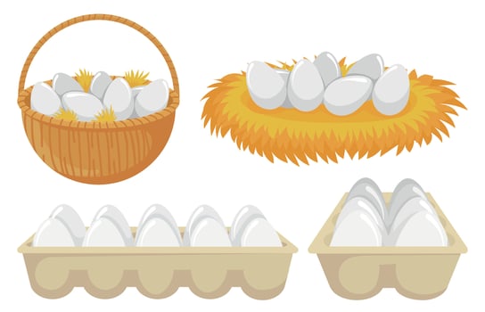 Eggs in nest and basket. Tray of chickens eggs. Open cardboard paper package with organic and natural products vector