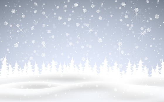 Winter is coming. Christmas, snowy night woodland landscape with falling snow, firs, snowflakes for winter and new year holidays. Xmas winter background vector