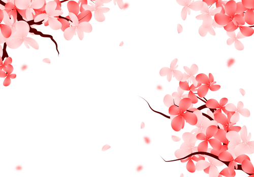 Sweet Valentines Frame, Pink Sakura Border. Cherry Blossom Falling Petals Background. png