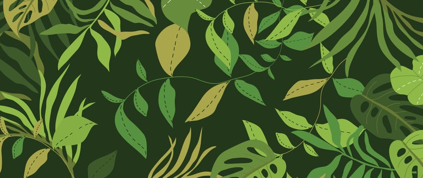 Abstract foliage botanical background vector. Green watercolor wallpaper of tropical plants, leaves, leaf branches. Foliage design for banner, prints, decor, wall art, decoration, fabric. vector