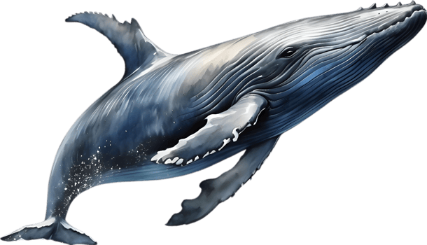 AI generated A whale soaring in the air. Ai-Generated png