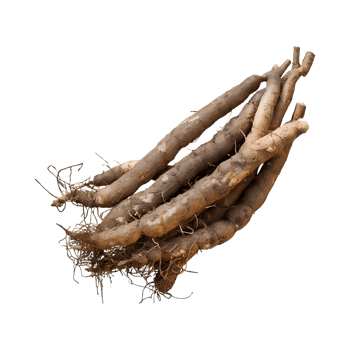 AI generated Floating Of Brown Cassava With Sliced Of Cassava,Earthy, Root ,Isolated Transparent Background png