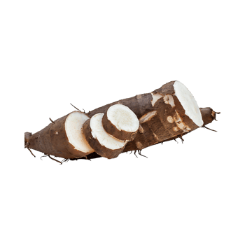 AI generated Floating Of Brown Cassava With Sliced Of Cassava,Earthy, Root ,Isolated Transparent Background png
