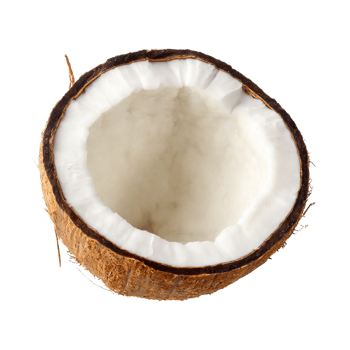 AI generated Floating Of Opened Coconut, Without Shadow, Isolated Transparent Background png
