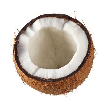 AI generated Floating Of Opened Coconut, Without Shadow, Isolated Transparent Background png