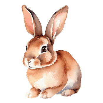 Cute rabbit watercolor illustration clipart png