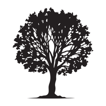 Collection tree silhouette transparent png. png