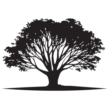 Collection tree silhouette transparent png. png
