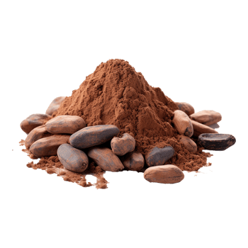 AI generated Cocoa isolated on transparent background png