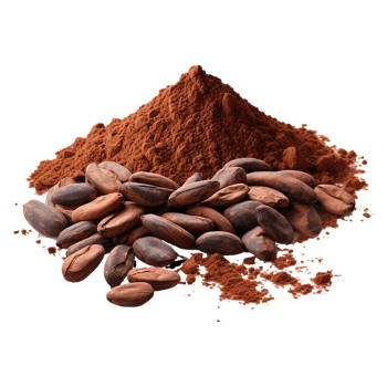 AI generated Cocoa isolated on transparent background png