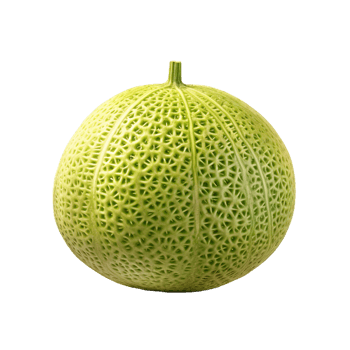 AI generated Ermelon isolated on transparent background png