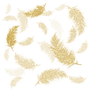 Golden feathers glitter on transparent background.Design for decorating,background, wallpaper, illustration png