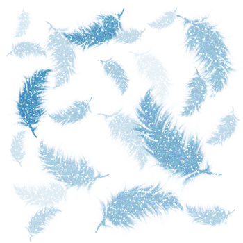 Blue feathers glitter on transparent background.Design for decorating,background, wallpaper, illustration png