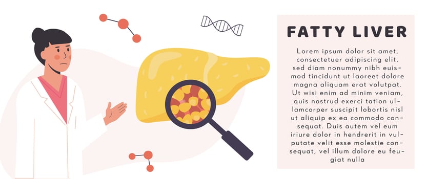 Concept of Consulting Doctor. Hospital Check Up. Liver Organ Diagnostics with magnifying glass. Researcher studying liver tissue. Medical Scientist. Hepatology. Flat Vector Illustration.