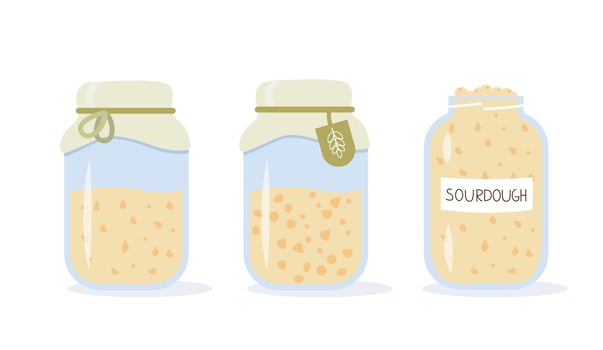 Set of icons of sourdough bread starter in mason jar for home baking. Homemade yeast dough in glass bottle. Healthy organic gluten free diet. Flat cartoon vector illustration.