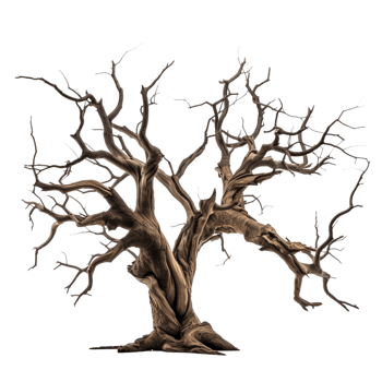 AI generated creepy dead tree Isolated on transparent background png