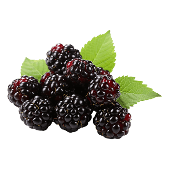 AI generated Blackberry isolated on transparent background png