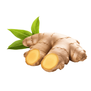 AI generated ginger root on transparent background png