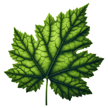 AI generated Green Leaf. Leaf on Transparent Background png