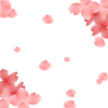 Pink Flowers frame. Sakura Blossom Background. cherry Bloom Border. png
