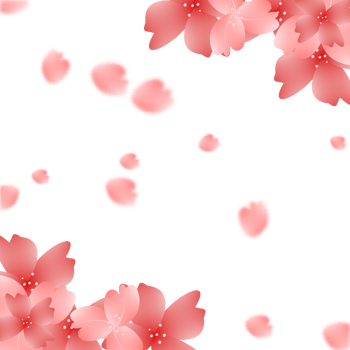 Sakura Bloom Flowers Frame Background png