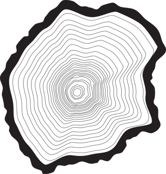 Tree rings background. png