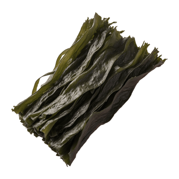 AI generated korea food seaweed isolated on transparent background png