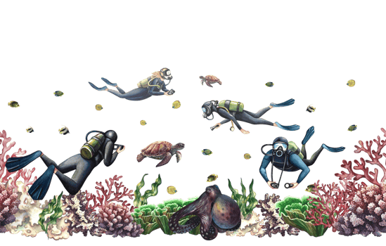 Divers swim underwater. Seamless border. Underwater travel. Watercolor hand drawn illustration. For label, business card and banner, flyer and brochure. For prints, postcards png