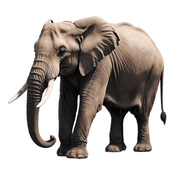 AI generated Elephant isolated on transparent background png