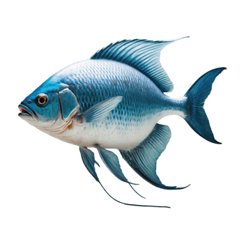 AI generated Fish isolated on transparent background png