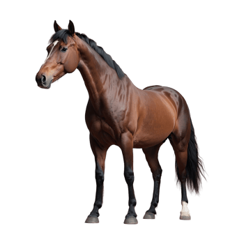 AI generated Horse isolated on transparent background png