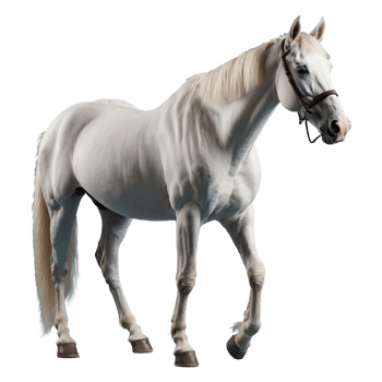 AI generated Horse isolated on transparent background png