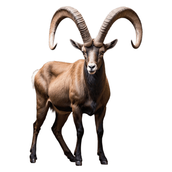 AI generated Ibex isolated on transparent background png